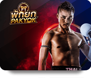 Tổng Quan Về ZingPlay Thể Thao VIP Cho Người Mới